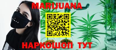 трава Кингисепп