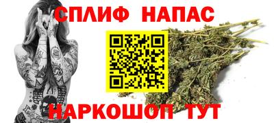 трава Кингисепп