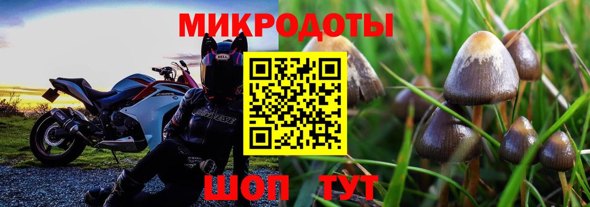 Галлюциногенные грибы мицелий  Вход с VPN  Касимов  Галлюциногенные грибы мицелий 